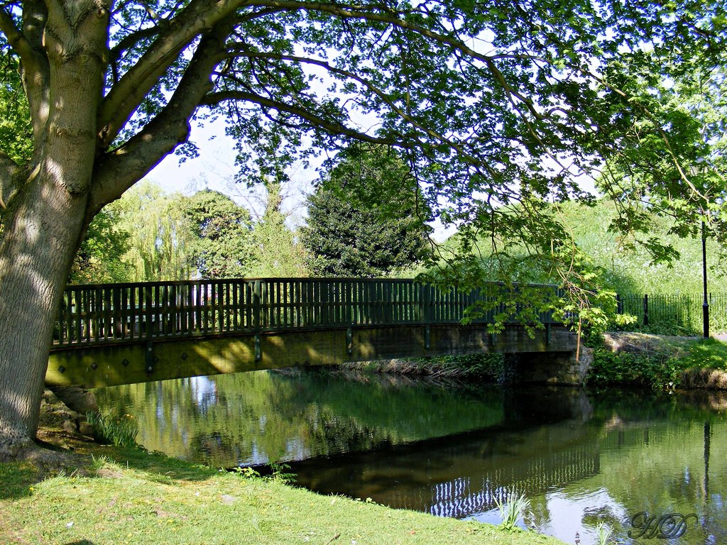 park-bridge-river-home-HD.jpg
