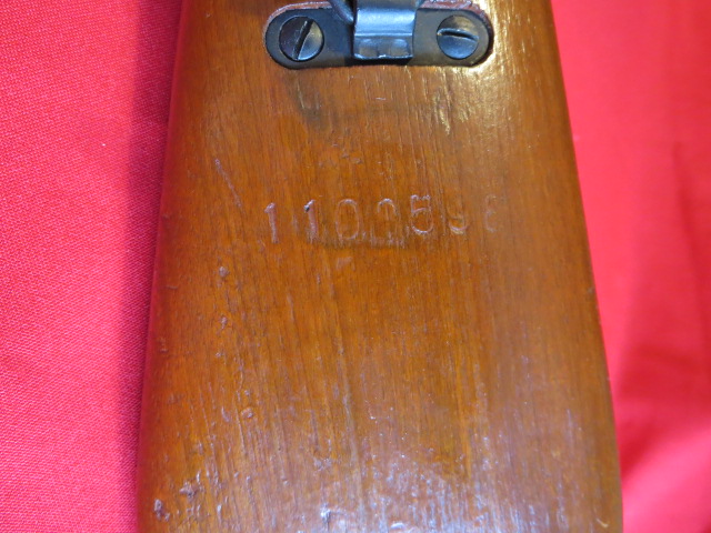 IMG-3681