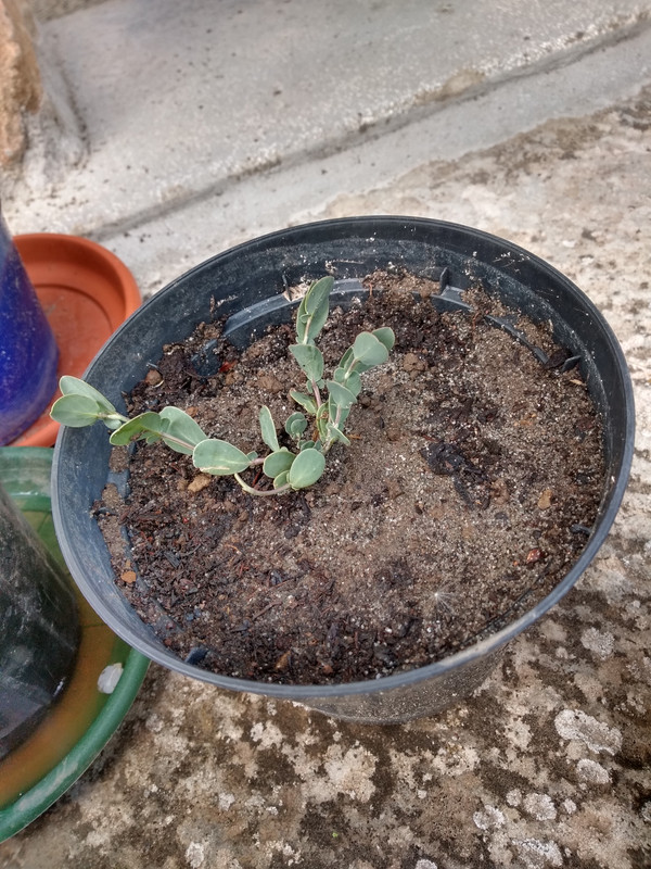 IMG_20200422_143437467_HDR