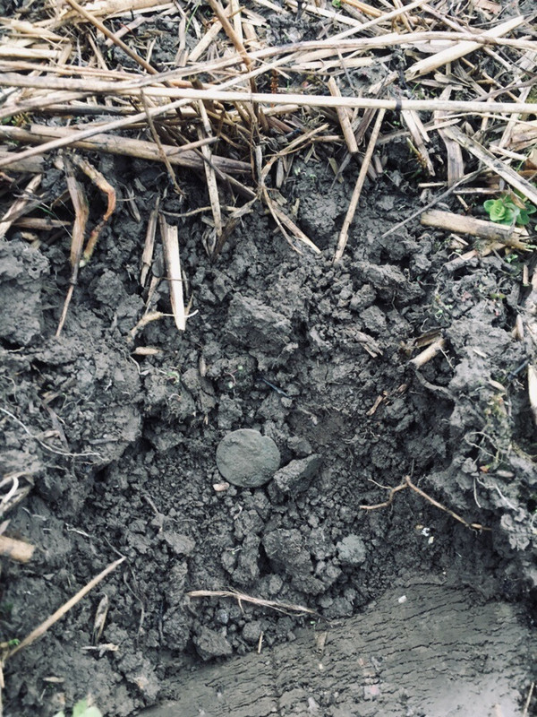 75C2EBDA-2F81-4D5A-A152-FCF95E15F35B