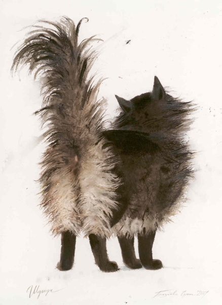 cat2
