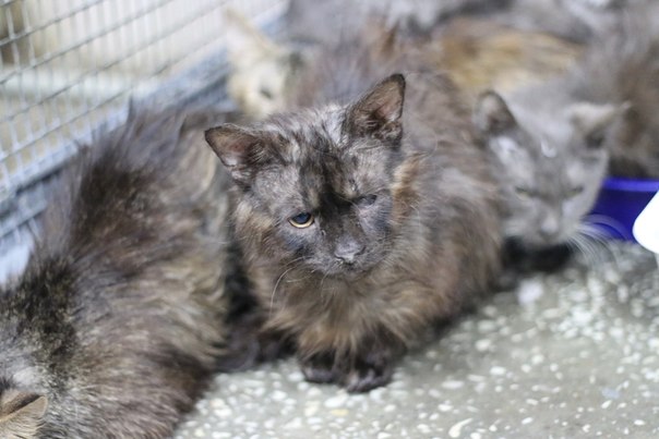 9CAEDA55-39EB-4891-865F-B97A739BF2B7