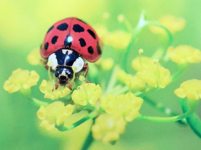 D6D9F200-D5B7-427E-94CB-2A64A0EE1CB1