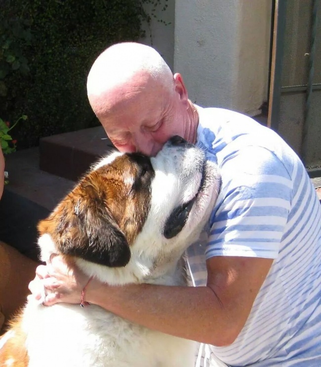 30 убедительных причин завести собаку