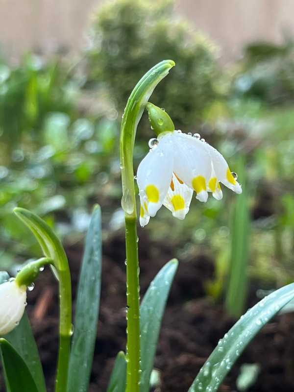 IMG_20230322_192925_674