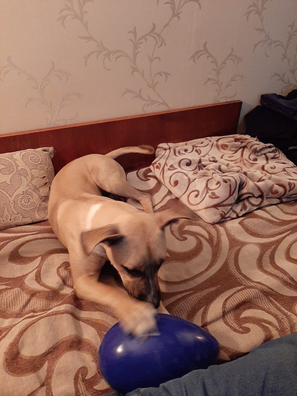 D4198118-F8C4-4144-A349-04DFDC0512EC