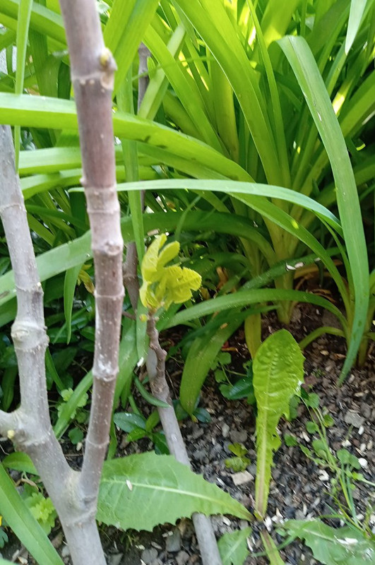 IMG_20240423_085548179