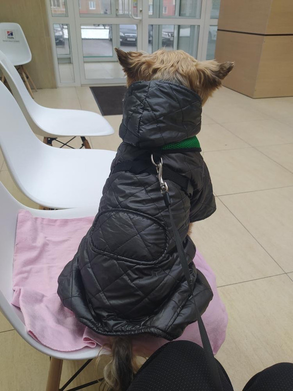 B6C2E325-150B-4DC7-AB78-08631B53CFEA