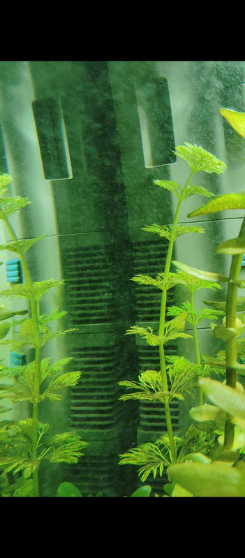 Screenshot 2025 12 08 20 58 12 068 com miui mediaviewer