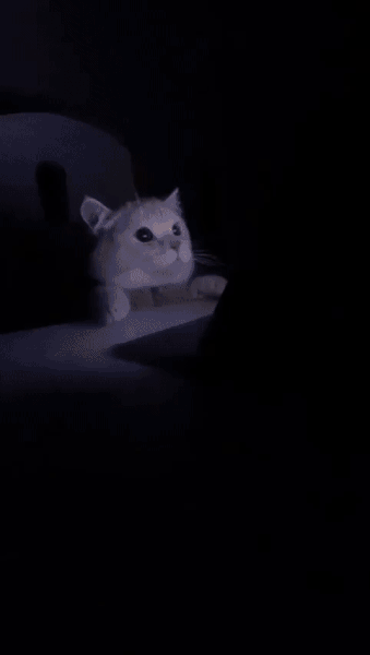 c0N4n-Yq.gif