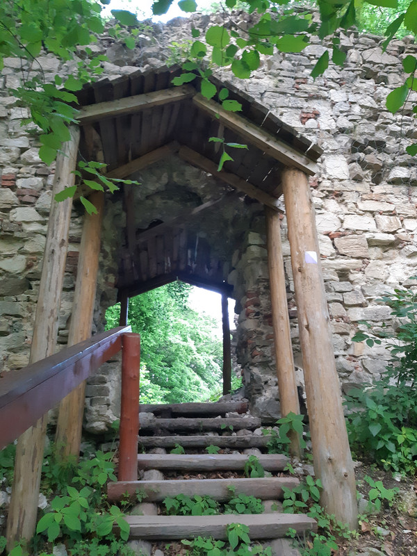 06.03 - 20220617_194125 (PiTT)