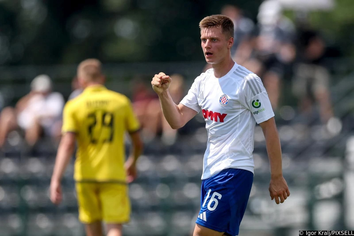 madžid-šošić-webp