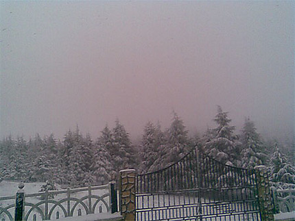 E84B0801-6660-4685-93C9-92C39F948CCD