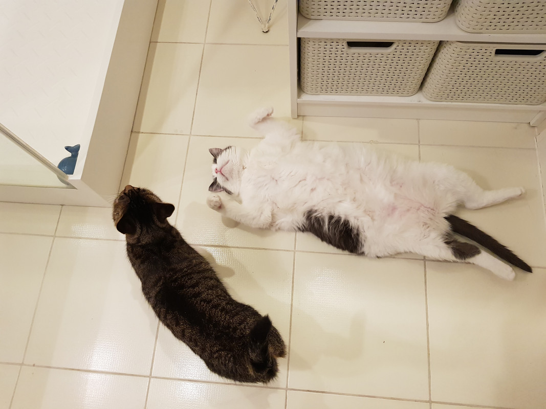 20201012-183020-0.jpg