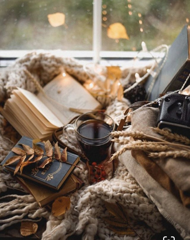 Screenshot_20231015_205818_Pinterest