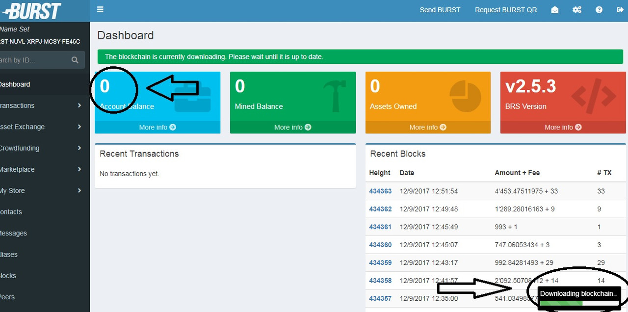 Burst Coin in Coins & Tokens_burstt