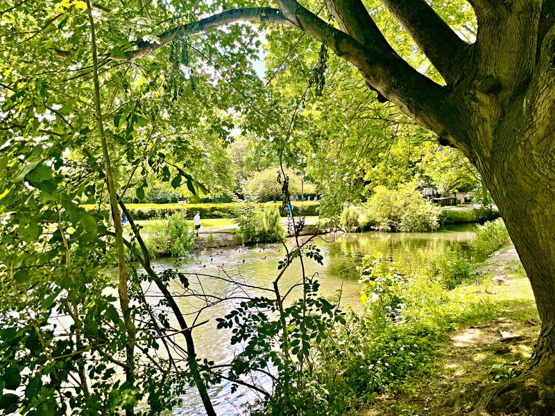Cas-Grounds-River-HD.jpg