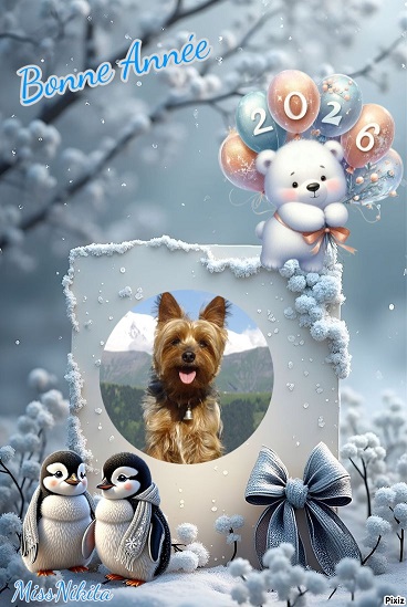 pixiz 30 12 2025 15 06 47