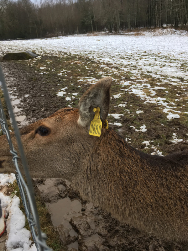 08633459-F958-4DD0-AFE2-038A7CFF57C5