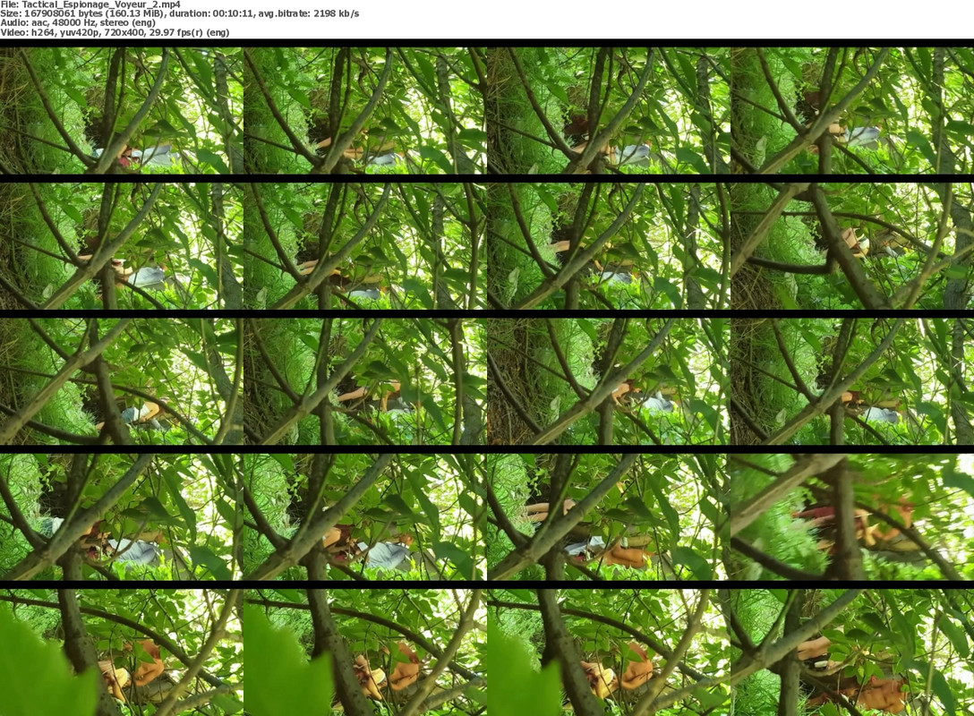 05092022180355screenshot