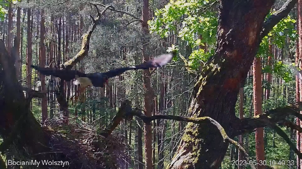 Zrzut ekranu (15828)