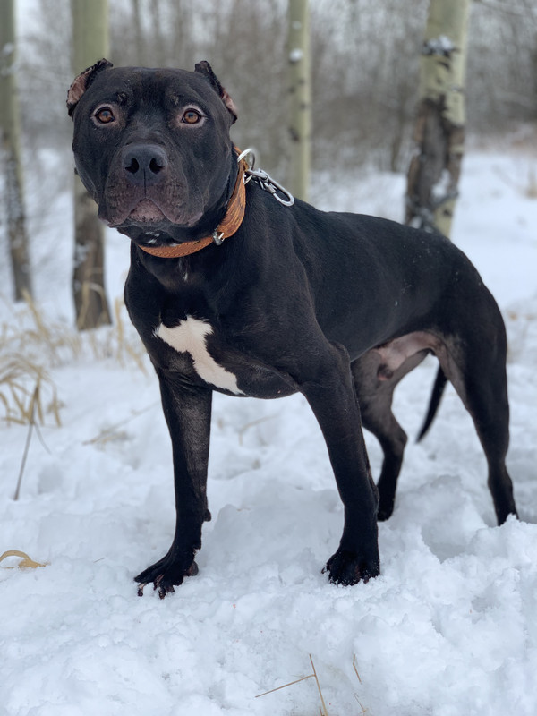 85917C5D-D881-4F63-A8B0-0FCA3F149DC1