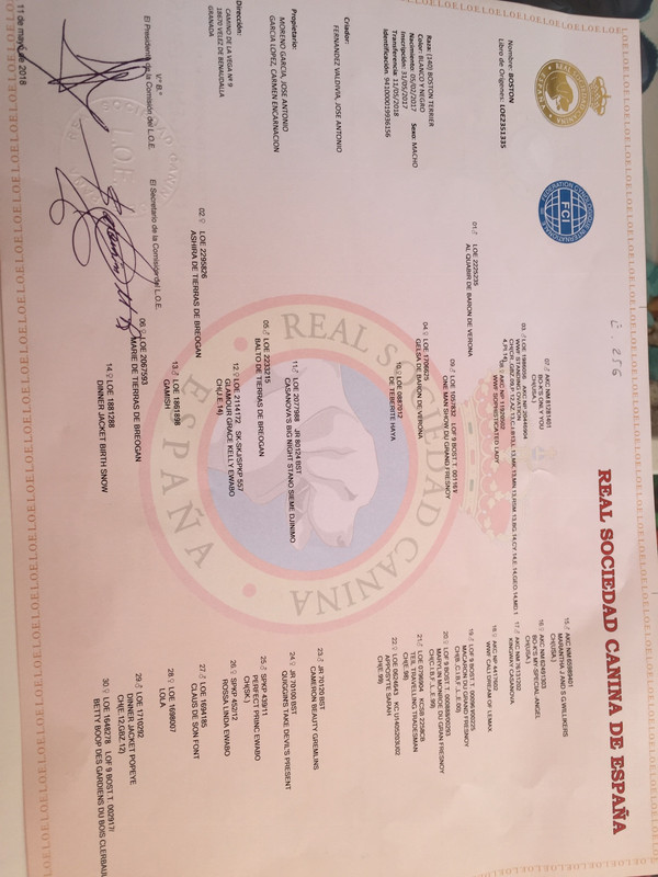 35A9B450-DED6-409C-93CA-65AB50AFAF4D