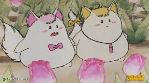 Italia 9 Network (4)