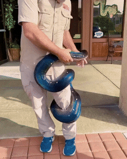 Wow-GIFs-24