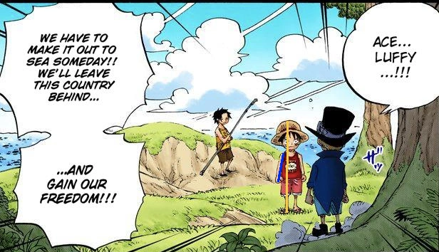 Kid-Luffy-Dimensions.webp