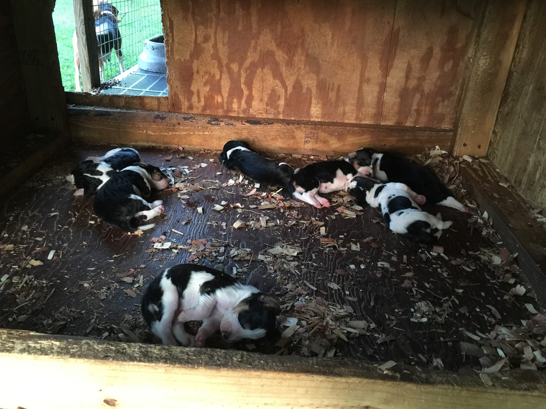 9DE882A0-9D7D-4419-B74C-F53931CFFAEA