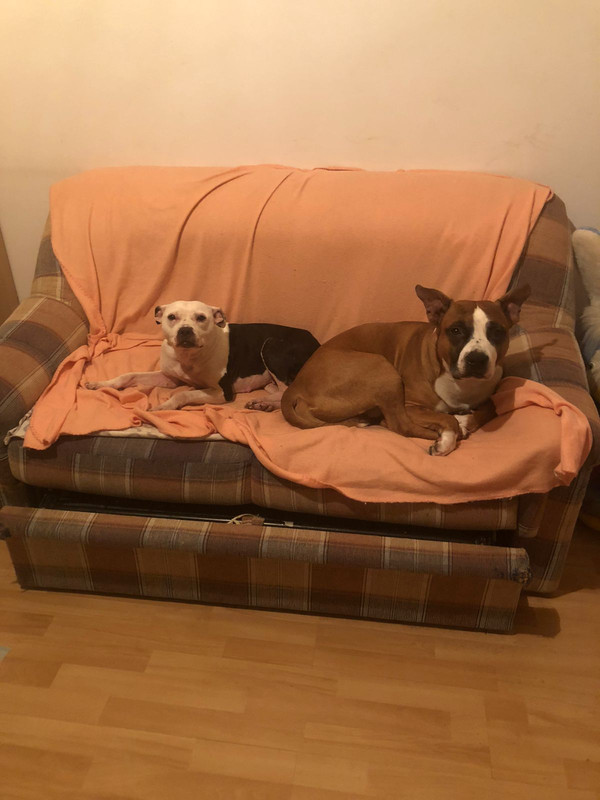 51D1B490-BD4E-492D-A995-465A089A7AEE