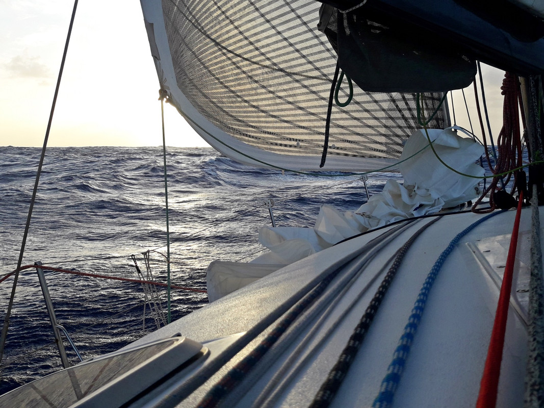 [Imagen: 20200220_212804.jpg]