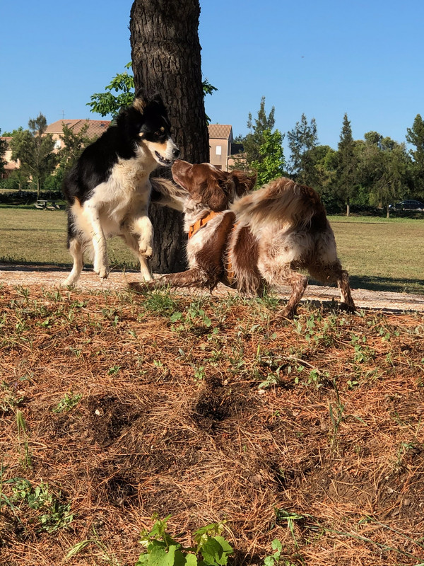 D6F881C7-6694-43CB-8A47-CD09161AEE30