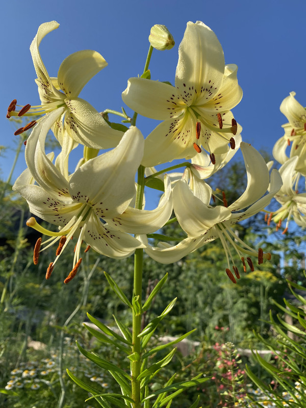 9357BBA6-F861-4BDF-A67E-C6EF995C4FEB