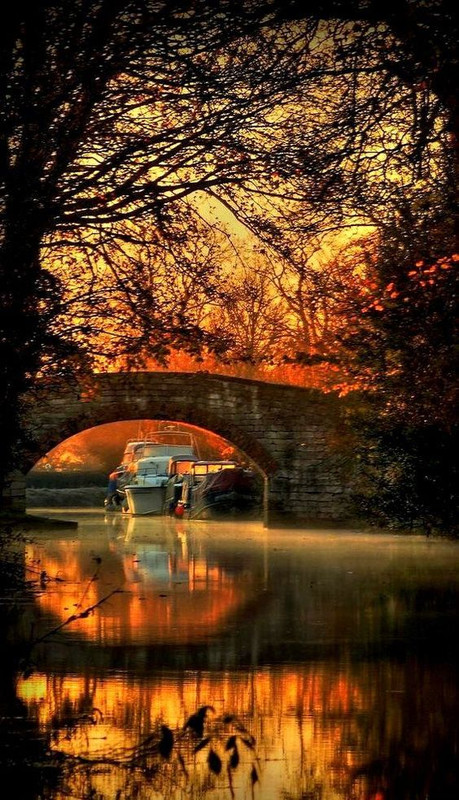 orangebridgeandboat.jpg