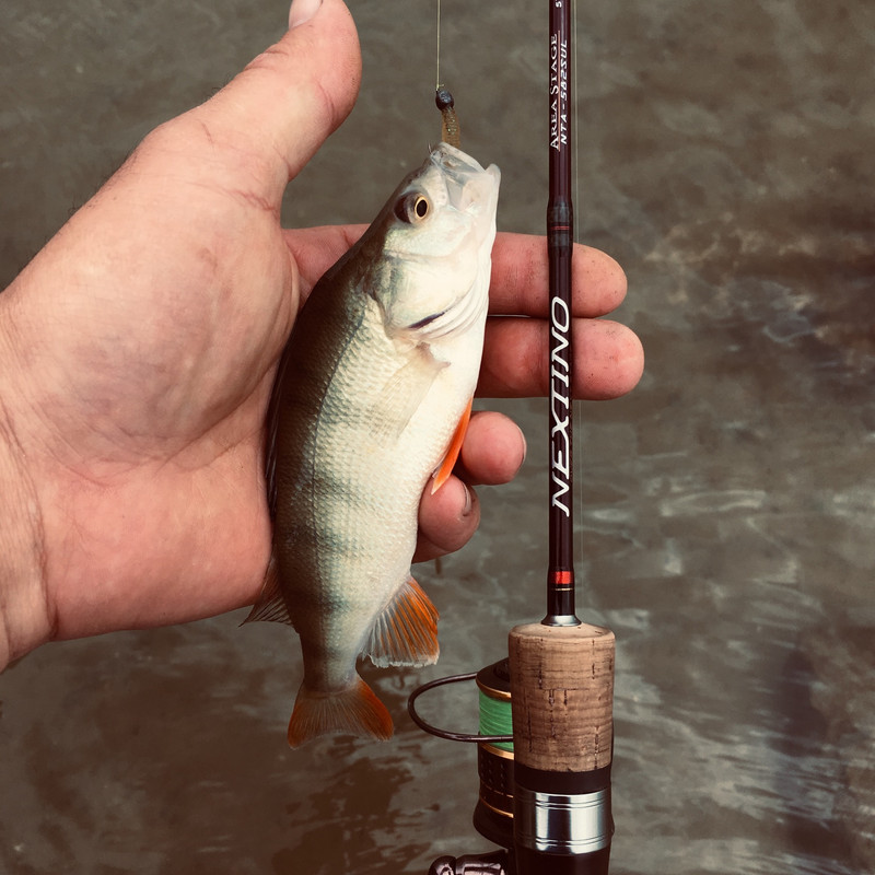 EF9617A1-F797-4977-9EE9-37399E2F73EE