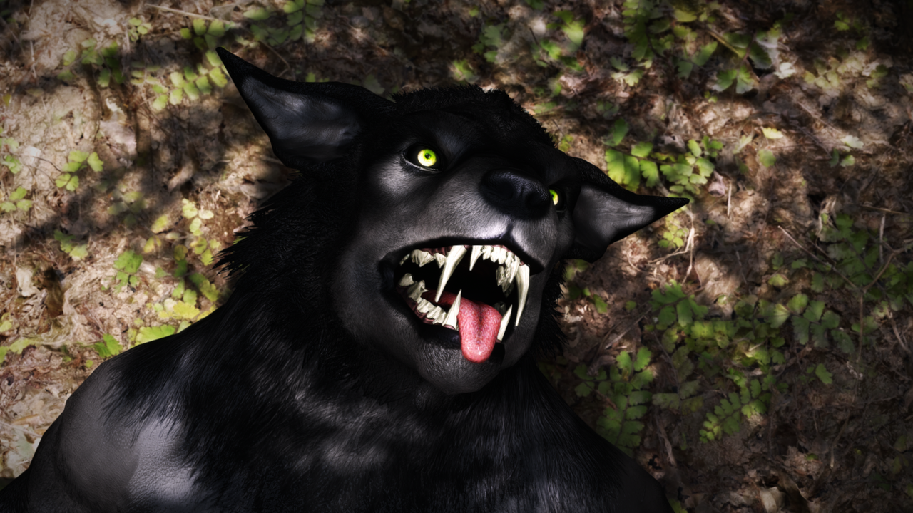 The_Elder_Scrolls_V__Skyrim_Special_Edit