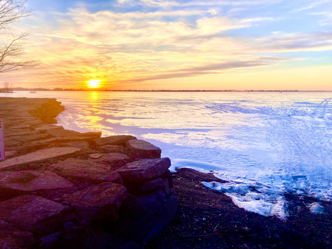 slip on checkerboard vault