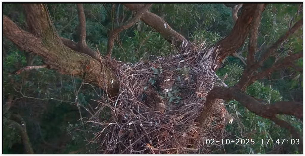 Screen Shot 10-02-25 at 09.53 AM