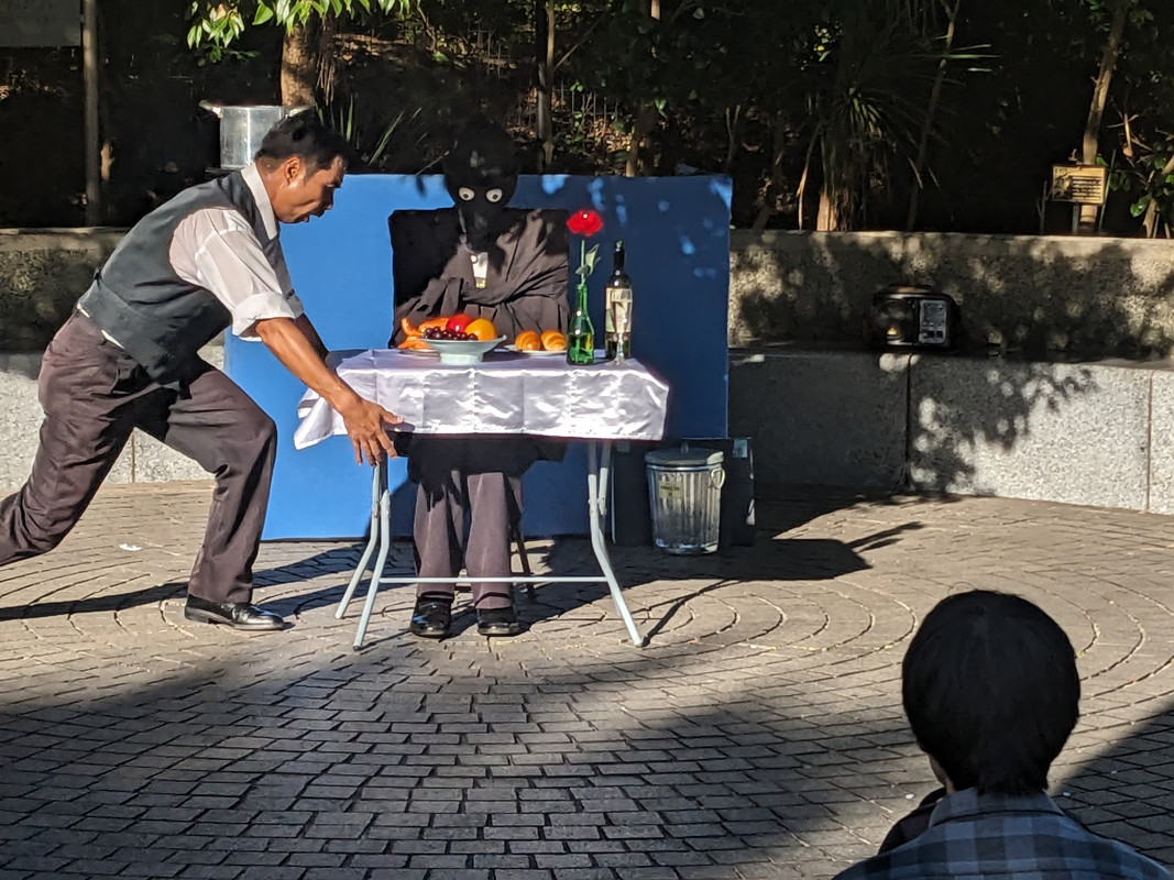 PXL_20231023_055254026.MP