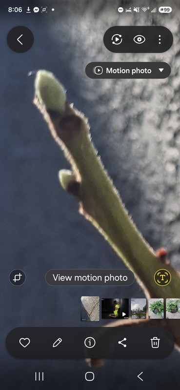 Screenshot 20260614 080634 Gallery