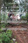 IMG-0319