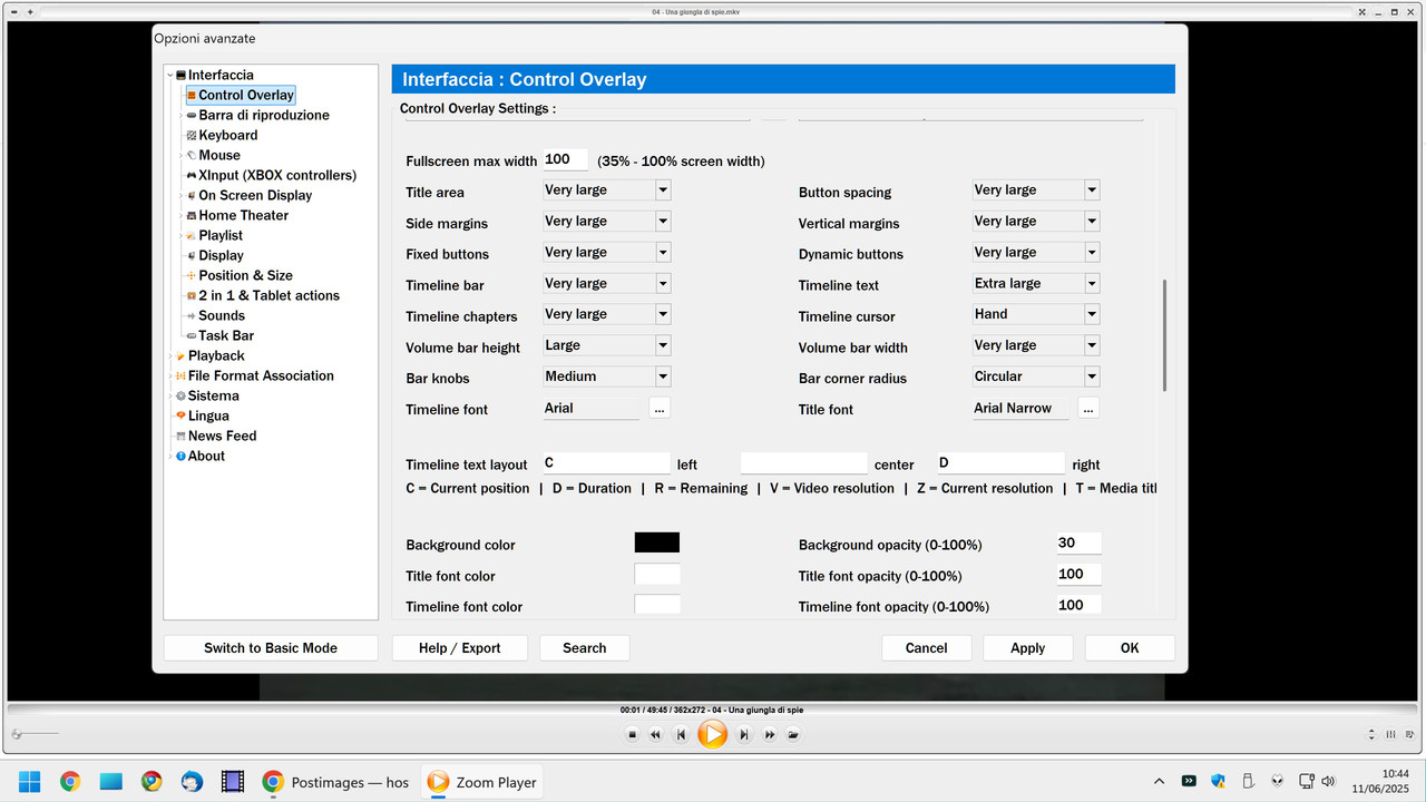 Immagine negli appunti (11 giugno 2025)