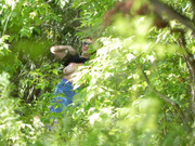 78aa5a93-98f0-4e69-b3f5-b0892bb9b25e