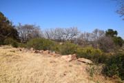 DSC-0013