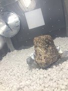 FDB7C7E2-9F5F-4654-9CEB-72F273060A5E