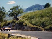 Targa Florio (Part 5) 1970 - 1977 - Page 4 1972-TF-35-Schmid-Floridia-009