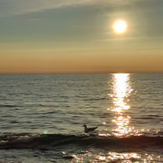 IMG-20220302-121140-580