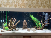 949F1E3C-B2B1-4F64-A05D-C06005EC89BB